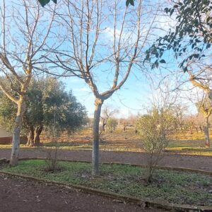 CAMINO LOS CALEROS, PUERTOLLANO